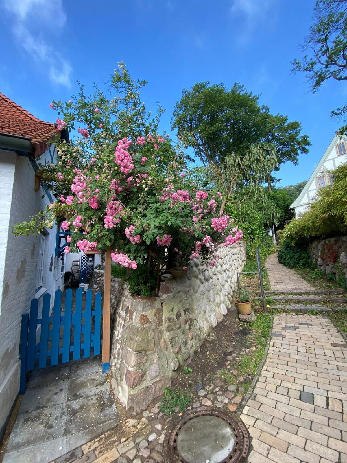 Fischerhaus Blankenese Hamburgo Exterior foto